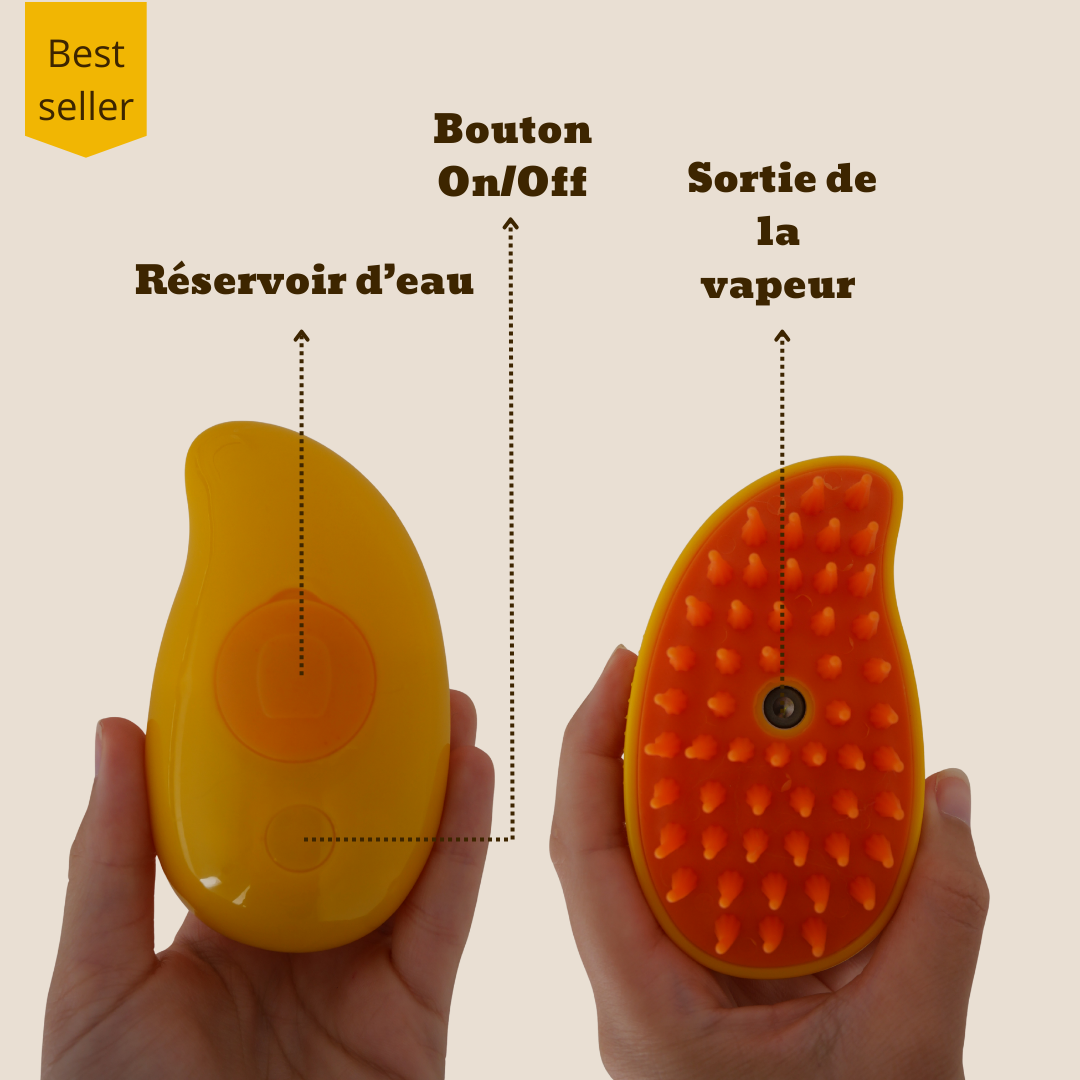 Brosse à vapeur pour animaux