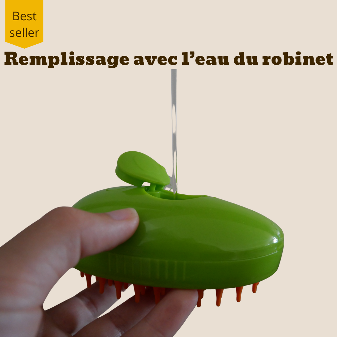Brosse à vapeur pour animaux