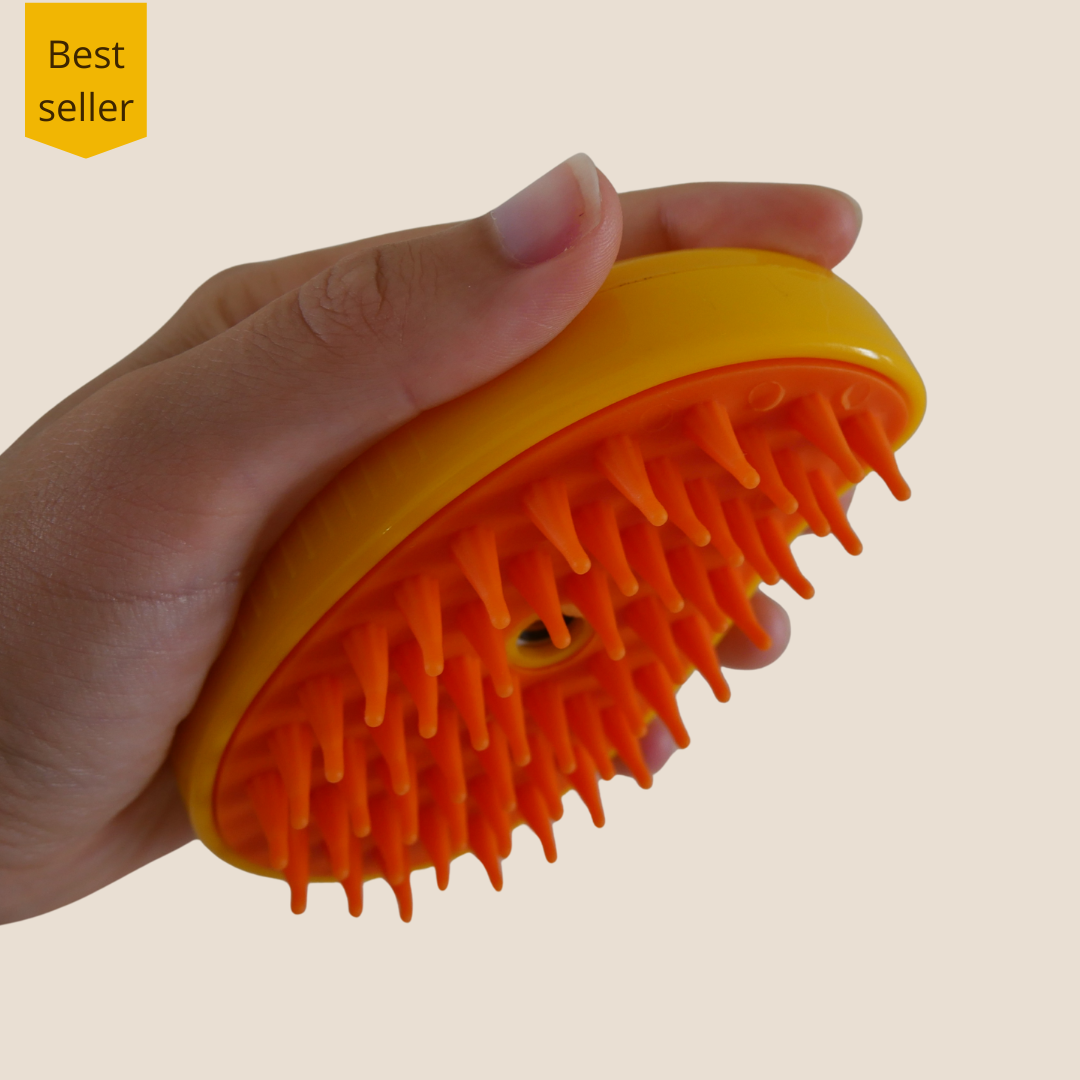 Brosse à vapeur pour animaux