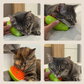 Brosse à vapeur pour animaux